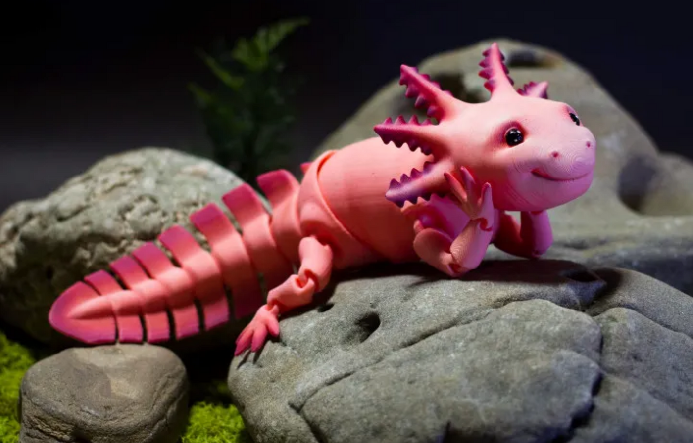 3D Print Files for Axolotl Lover