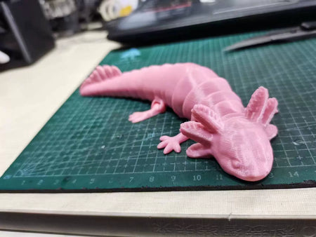 3D Printed Articulated Axolotl Success